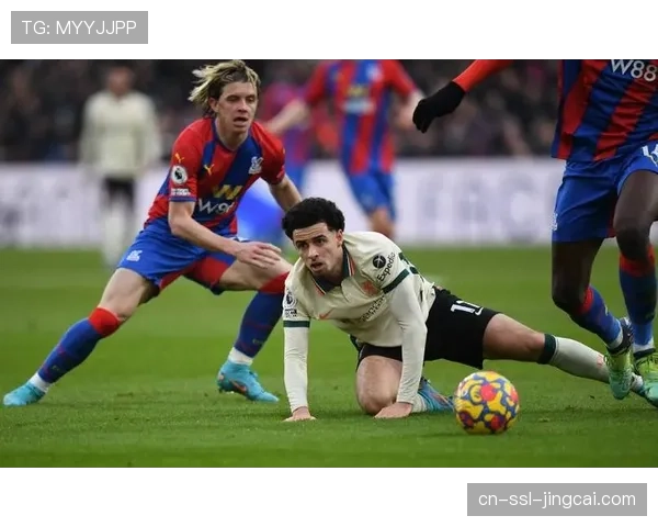 背景调查：美国资本对意甲中游球队的投资逻辑与影响